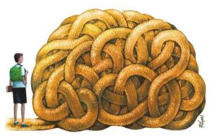 Ciências para a educação