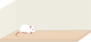 CONECTA: Isolamento social pode afetar a memória e induzir depressão